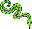Reptile Clipart