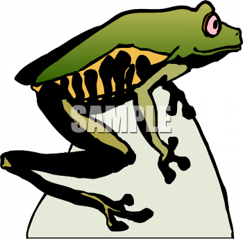 Toad Clipart
