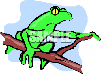 Toad Clipart