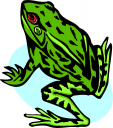 Toad Clipart