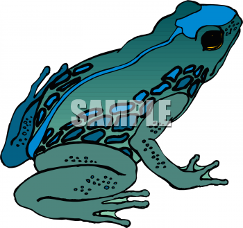 Toad Clipart