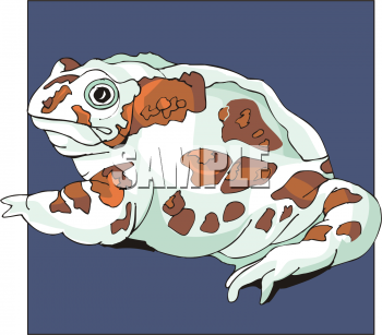 Toad Clipart