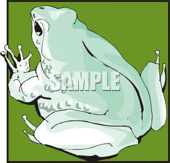 Toad Clipart