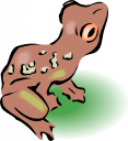 Toad Clipart