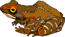 Toad Clipart