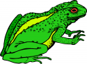 Toad Clipart