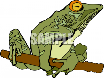 Toad Clipart