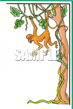 Monkey Clipart