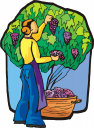 Farmer Clipart