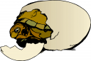 Reptile Clipart