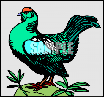 Bird Clipart
