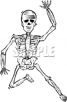 Skeleton Clipart