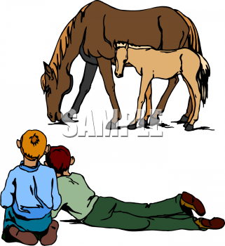 Foal Clipart