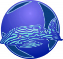 Shark Clipart