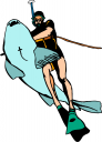 Shark Clipart