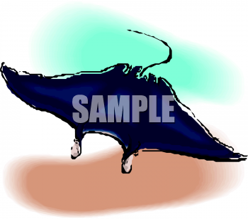 Stingray Clipart