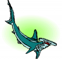 Shark Clipart