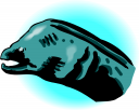 Eel Clipart
