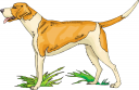 Pet Clipart