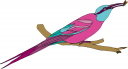 Bird Clipart
