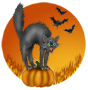 Black Cat Clipart