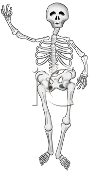 Skeleton Clipart