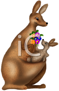 Kangaroo Clipart