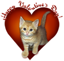 Valentines Day Clipart