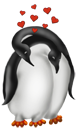 Penguin Clipart