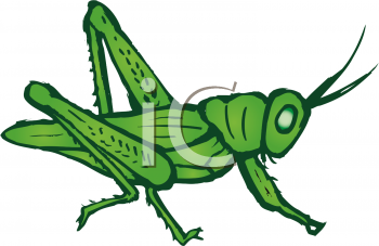 Grasshopper Clipart