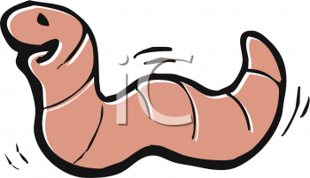 Worm Clipart
