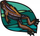 Toad Clipart
