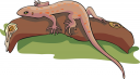 Gecko Clipart
