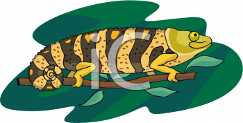 Reptile Clipart