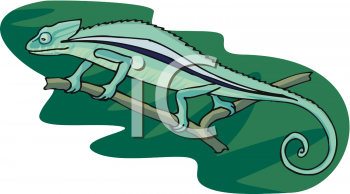 Reptile Clipart