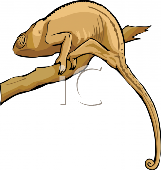 Reptile Clipart