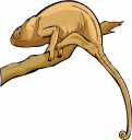 Reptile Clipart