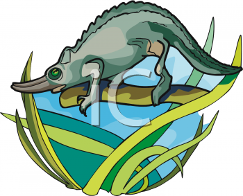Reptile Clipart