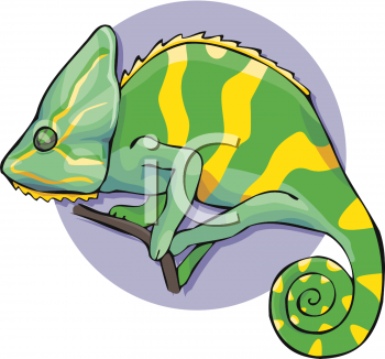 Reptile Clipart