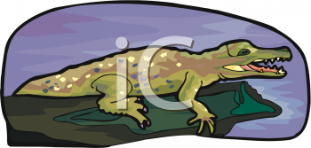 Reptile Clipart
