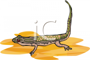 Gecko Clipart