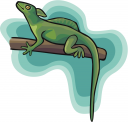 Reptile Clipart