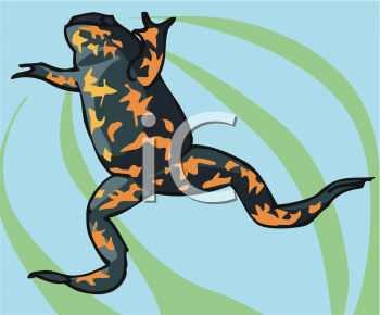 Reptile Clipart