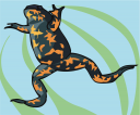 Reptile Clipart