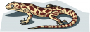 Reptile Clipart
