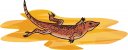 Reptile Clipart