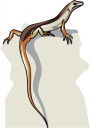 Reptile Clipart
