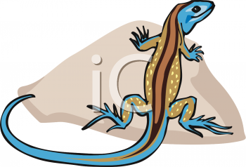 Reptile Clipart
