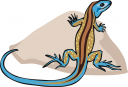 Reptile Clipart