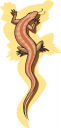 Reptile Clipart